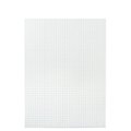 School Smart PAPER GRAPH RULE 9X12 WHITE  REAM WX4